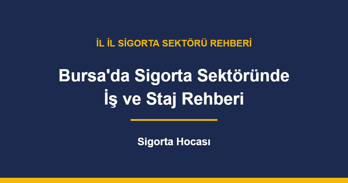 Bursa'da Sigorta Sektöründe İş ve Staj Rehberi